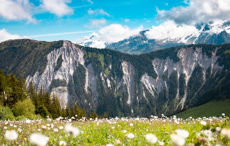 Avui, el veritable luxe és la Terra